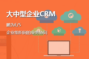 大中型CRM